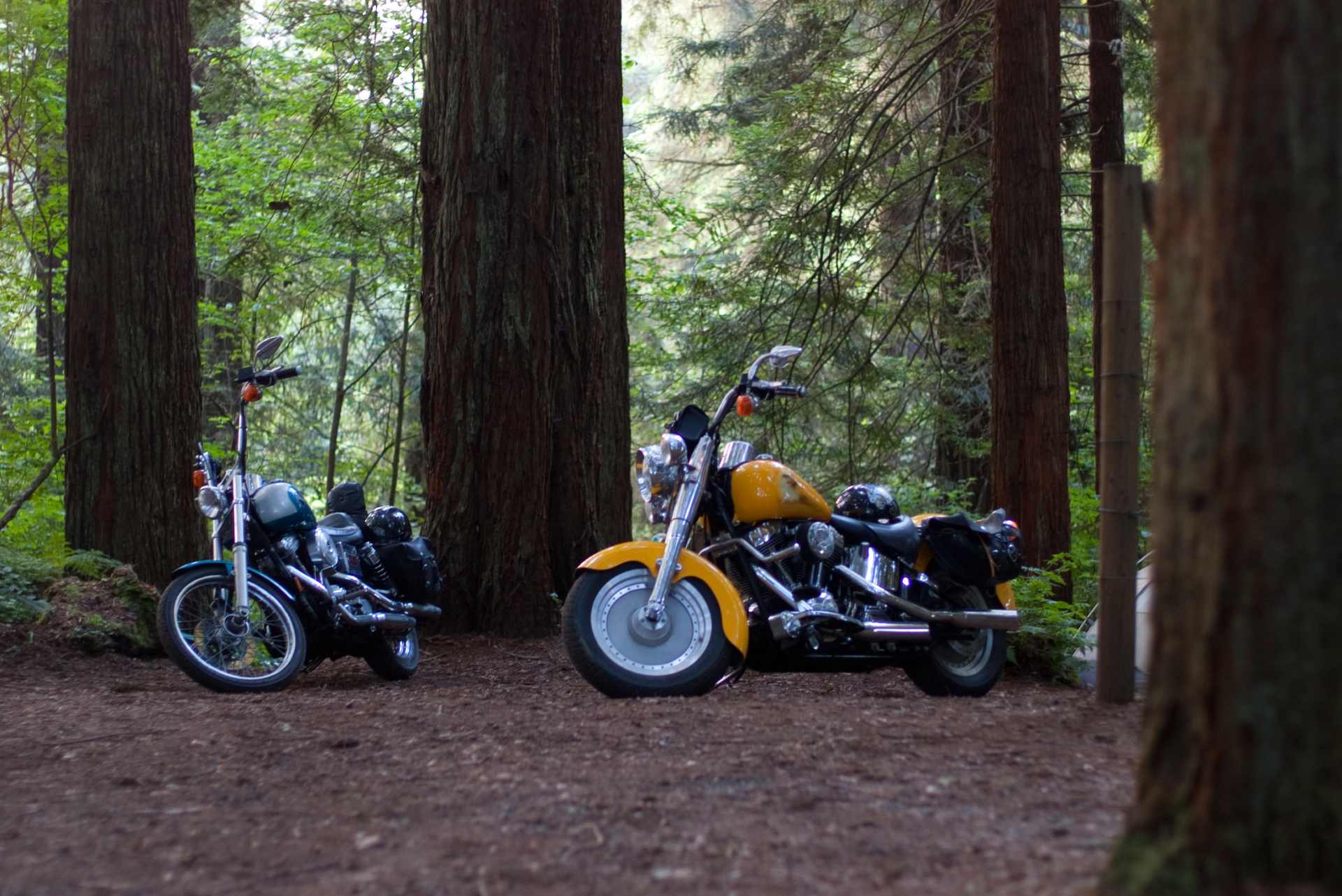 Assurance moto scooter et quad à Libourne Assurer votre 2 roues